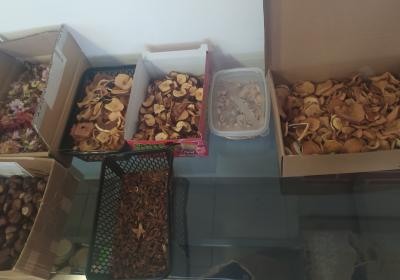 Projektovy Den Mimo Skolu 008