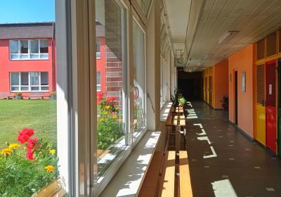 Skola2