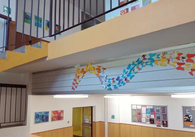 Skola5